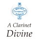 Buffet Crampon/Aクラリネット/Divine