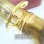 画像2: 中古委託品/SELMER/ネック/テナーサックス用/SerieIII/GP/onk062 (2)
