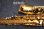画像8: 中古/SELMER/アルトサックス/SA-80II W/E GP/404xxx/usa220 (8)