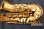 画像9: 中古/SELMER/アルトサックス/SA-80II W/E GP/404xxx/usa220 (9)