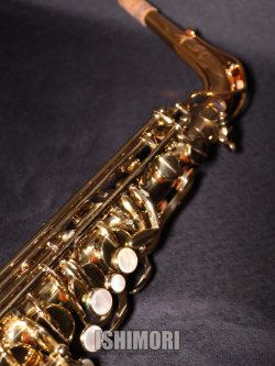 画像9: 中古委託品/SELMER/アルトサックス/SERIEIII W/E GL/677xxx/usa233