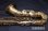 画像5: 中古委託品/American Selmer/テナーサックス/Mark-6 W/E GL/71xxx/vst401  (5)