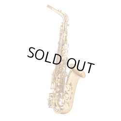画像2: 【寺地美穂氏選定品】Wood Stone/アルトサックス/Super Custom X/GL(ゴールドラッカー)