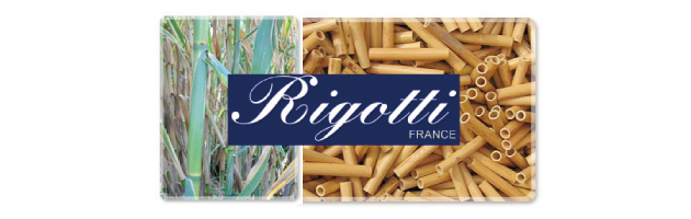 Rigotti - ISHIMORI ONLINE