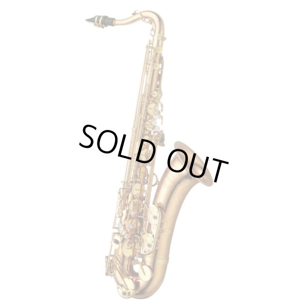 画像1: YANAGISAWA/テナーサックス/T-WO20