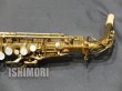 画像9: 中古/American Selmer/アルトサックス/Balanced Action W/E ReGL/22xxx/vsa358