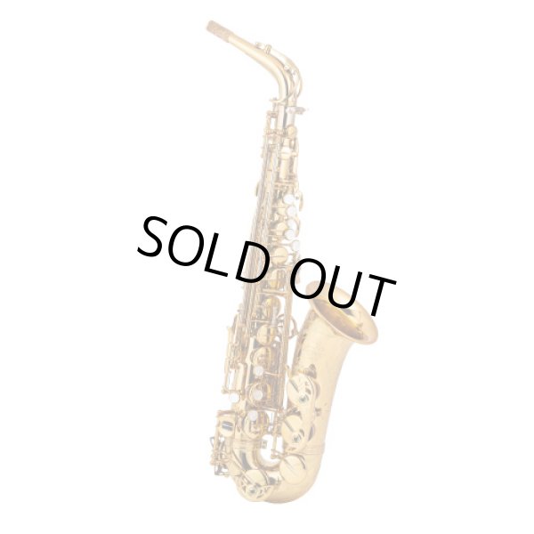 画像2: 【寺地美穂氏選定品】Wood Stone/アルトサックス/Super Custom X/GL(ゴールドラッカー)