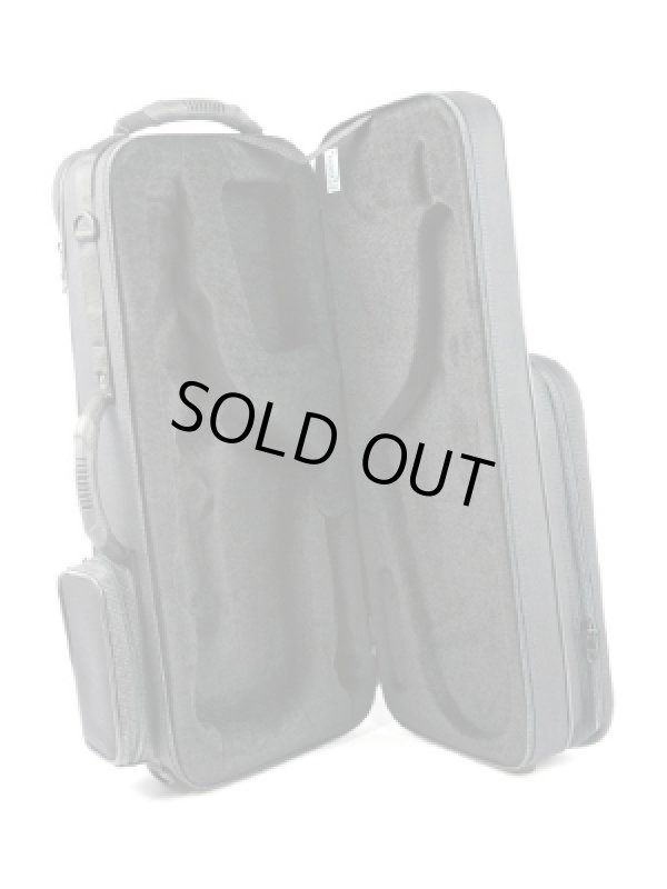 画像2: BAM/ケース/アルトサックス用/Trekking